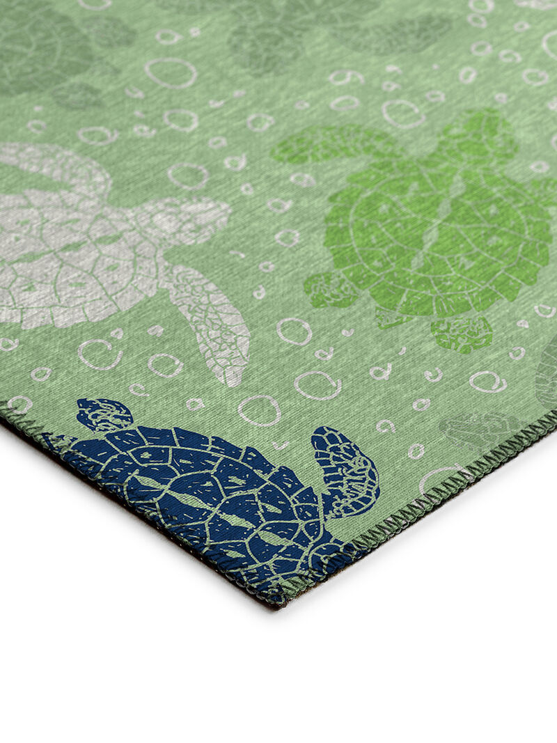 Seabreeze SZ13 Collection