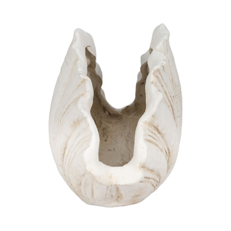 22" Scallop Shell Decor, White image number 3