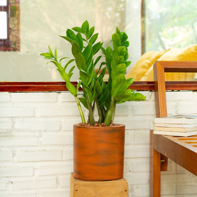 7.8 in. Painted Plastic Self-watering Planter Pot image number 1