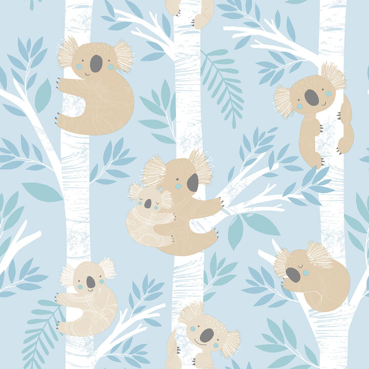 Tiny Tots 2 Koalas Blue Wallpaper G78386