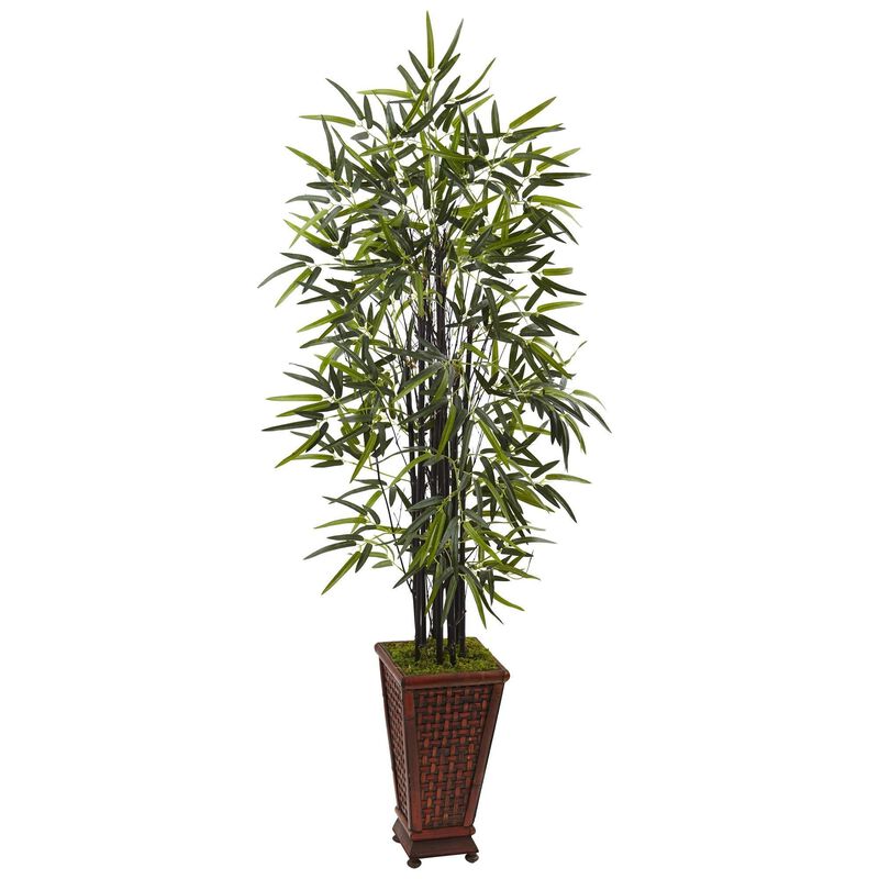 Nearly Natural 5.5-in Black Bamboo Tree in Decorative Planter