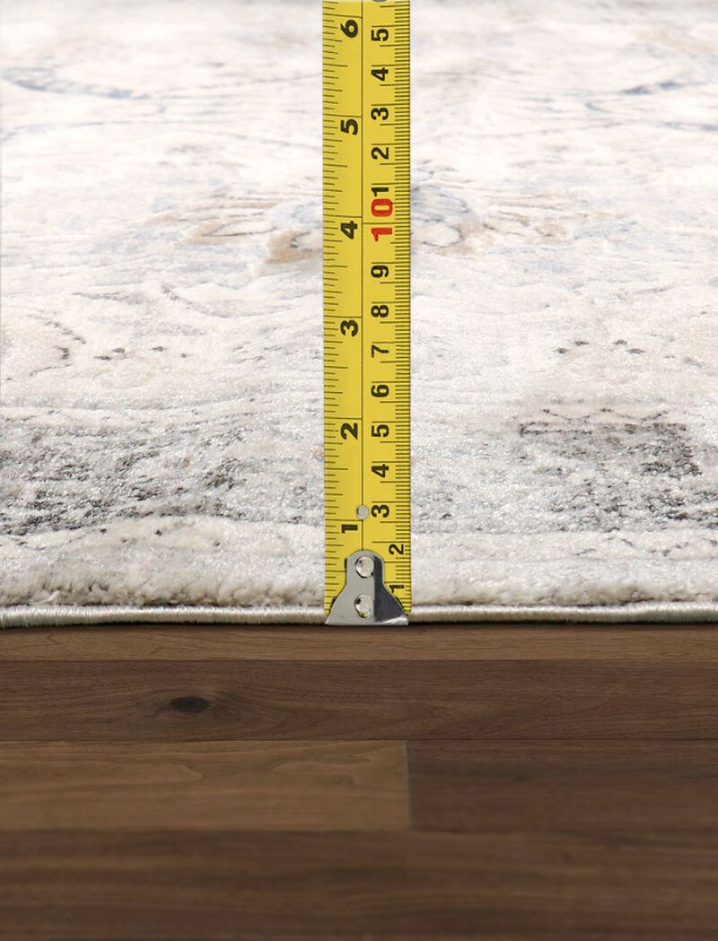 Pasargad Home Turkish Fantasia Ivory Area Rug image number 5