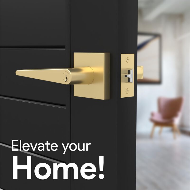 Mega Handles | Schein Entry Lever