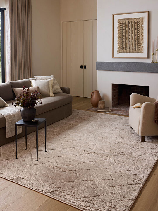 Monty  Beige/Natural 2'7"x4' Rug