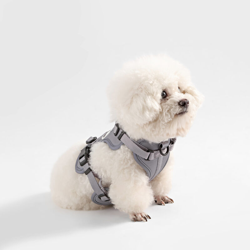 Arlo Adjustable Soft Padded No Pull Pet Harness with 3 Buckles and 3 Leash Clips