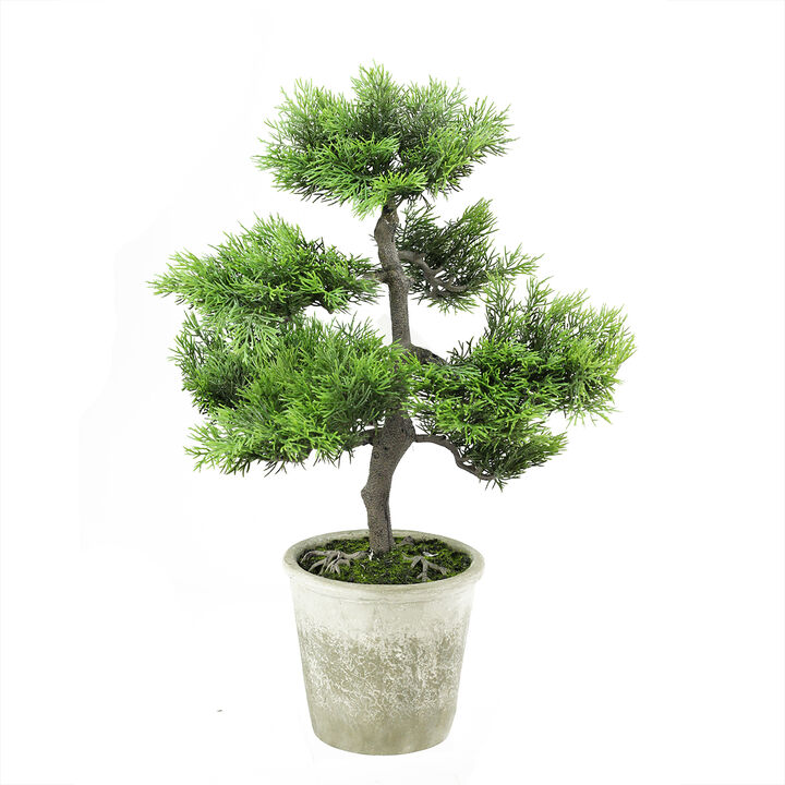 20.25" Green Artificial Japanese Bonsai Tree in Distressed Finish Pot