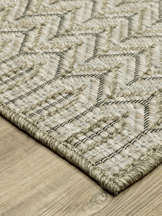 Tortuga 3'3" x 5' Beige Rug