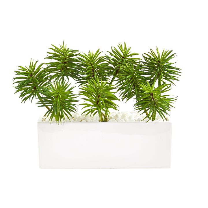 HomPlanti Spiky Succulent Garden Artificial Plant in White Ceramic Vase
