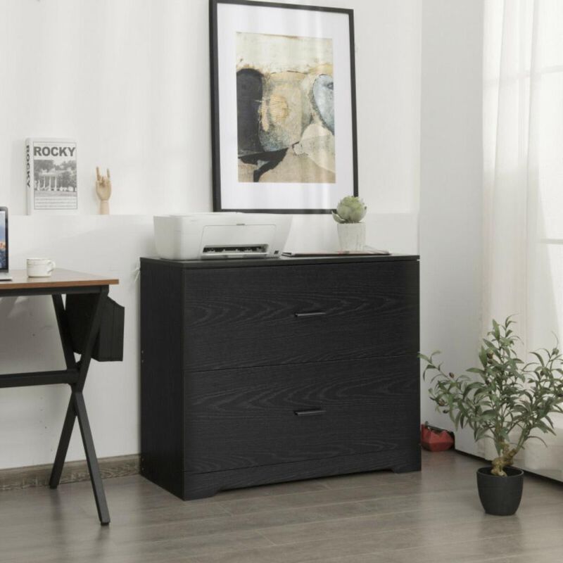 Hivvago 2-Drawer Lateral File Cabinet with Adjustable Bars for Home and Office-Black