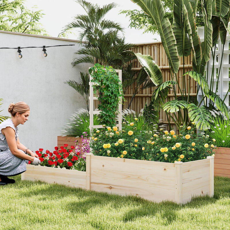 Raised Garden Bed with Trellis and 2 Elevated Planter Boxes for Vertical Gardening and Efficient Space Use
