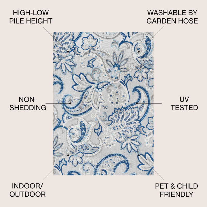 Gordes Paisley High-Low Indoor/Outdoor Area Rug