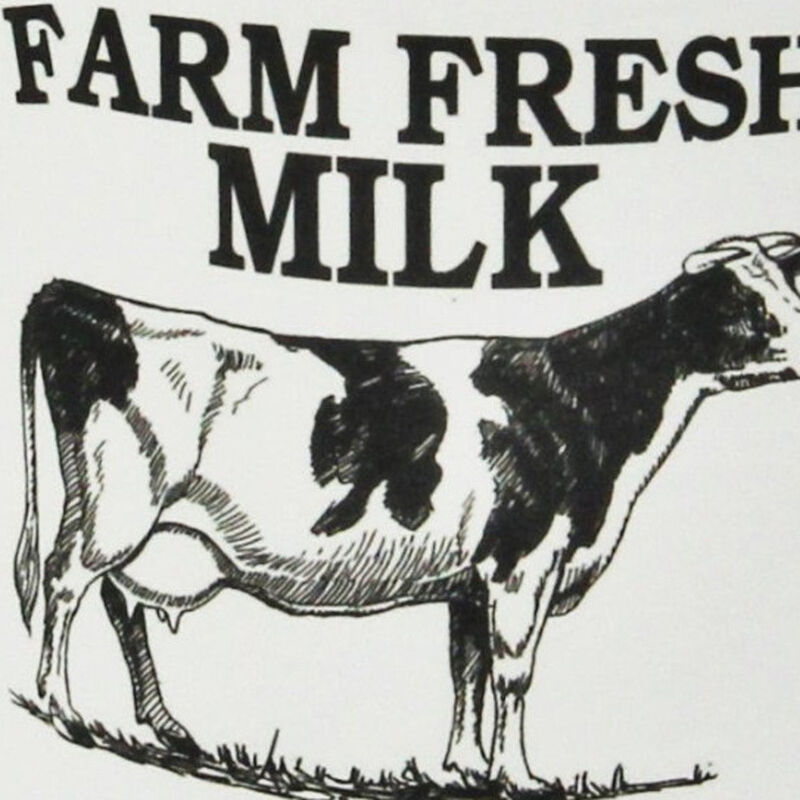 Hivvago 8 Inch Black And White Metal Jug Vase