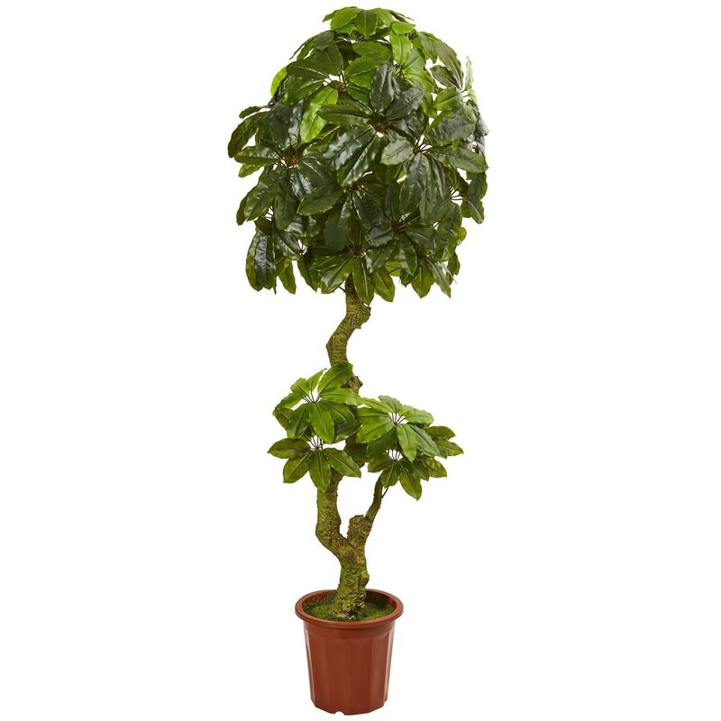 Nearly Natural 6-ft Schefflera Artificial Tree UV Resistant (Indoor/Outdoor)