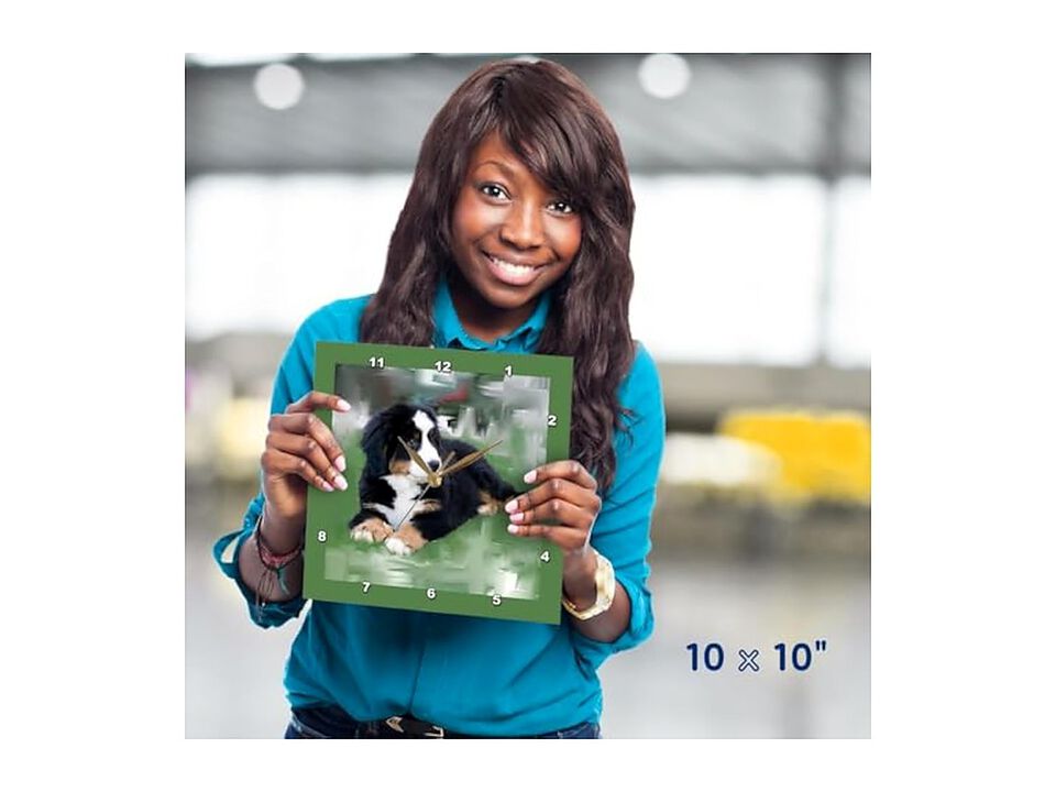 Bernese Mountain Dog Wall Clock 13 Inch Home Decor