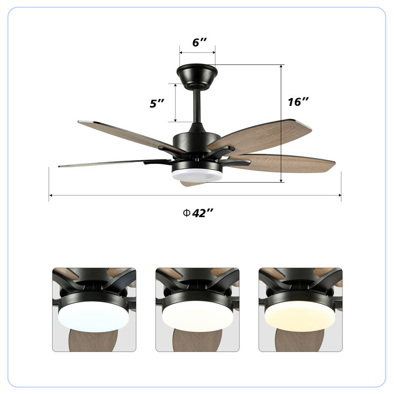 ELEMENT ACE 42 Inch 5 Plywood Blades Ceiling Fan with Lights and Remote Control, Quiet DC Motor 6 Speed Levels Reversible Fan for Indoor Living Room Bedroom Office Patio image number 2