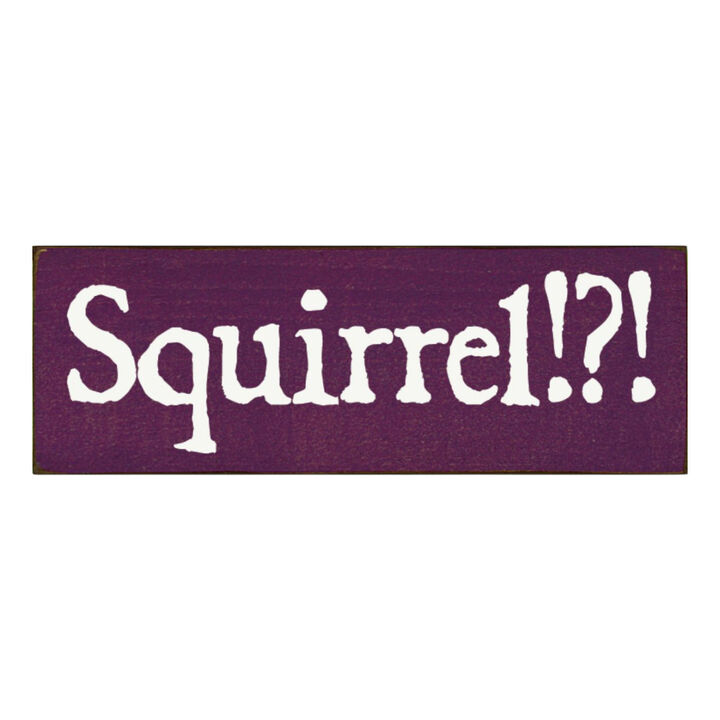 Squirrel Wood Sign Rustic Farmhouse Wall Decor for Living Room, Cabin or Entryway