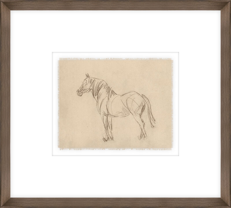 Equine Impression IV