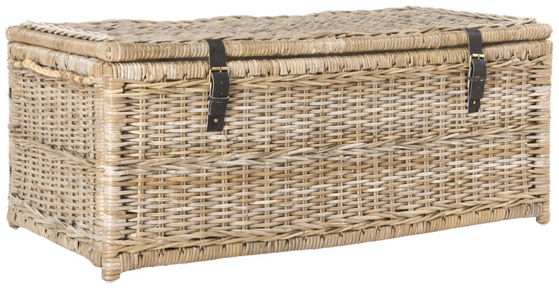 Caden 46" Wicker Storage Trunk image number 0