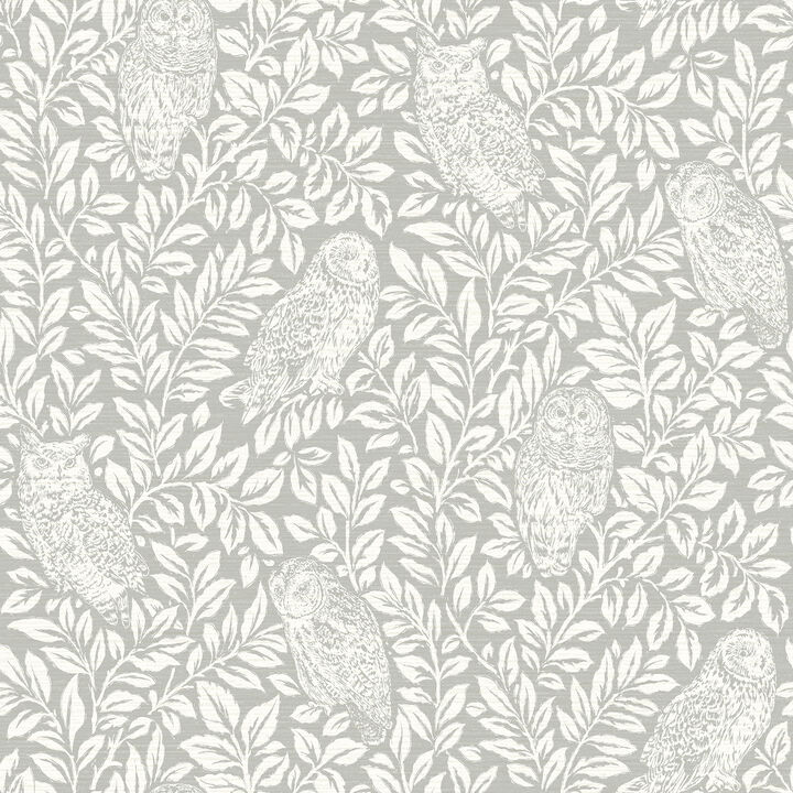 Parliament Grey Owl Wallpaper (Set of 2)