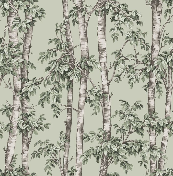 Bastian Green Trees Wallpaper