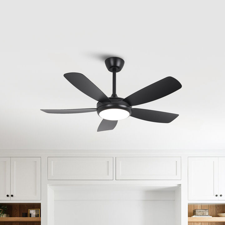 42" Black Modern LED Ceiling Fan with Light and Remote