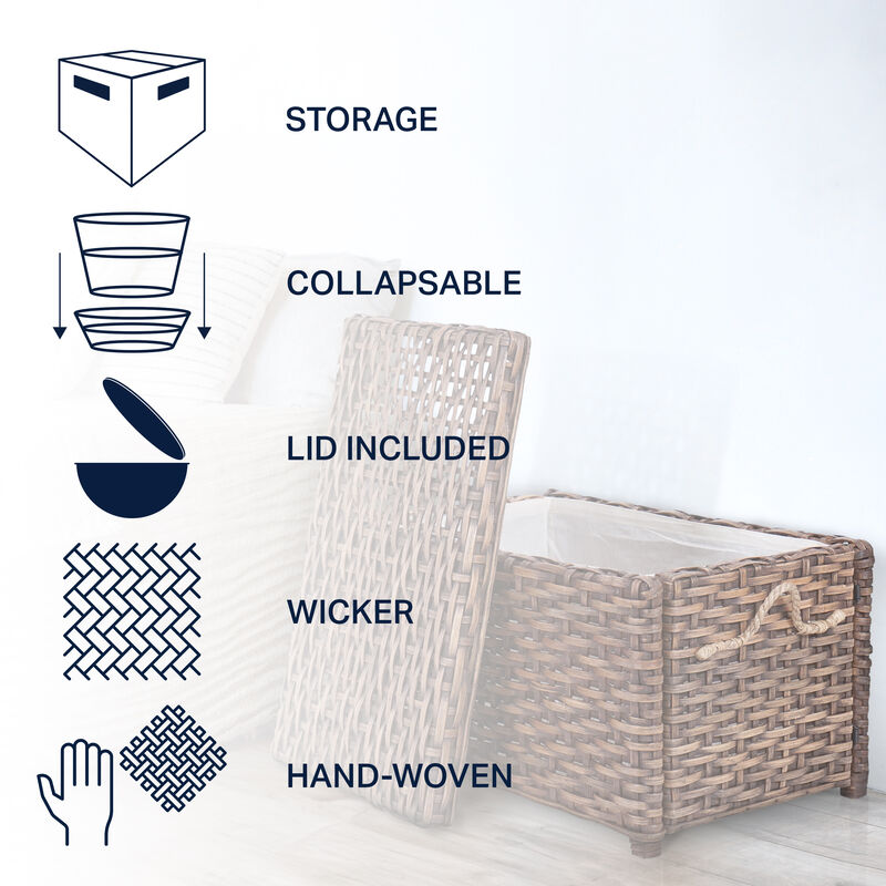 Jacob Wicker Storage Trunk