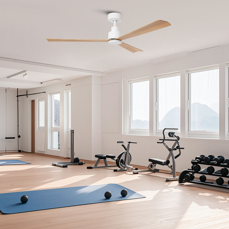 52" Modern 3-Blade Ceiling Fan with Reversible DC Motor, 6-Speed, Remote Control, No Light