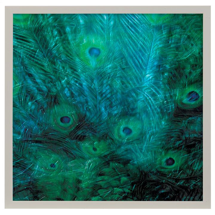 Peacock Galaxy III Framed Print