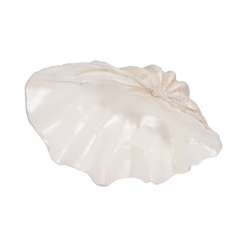 25" Pearlized Clam Shell Bowl image number 5