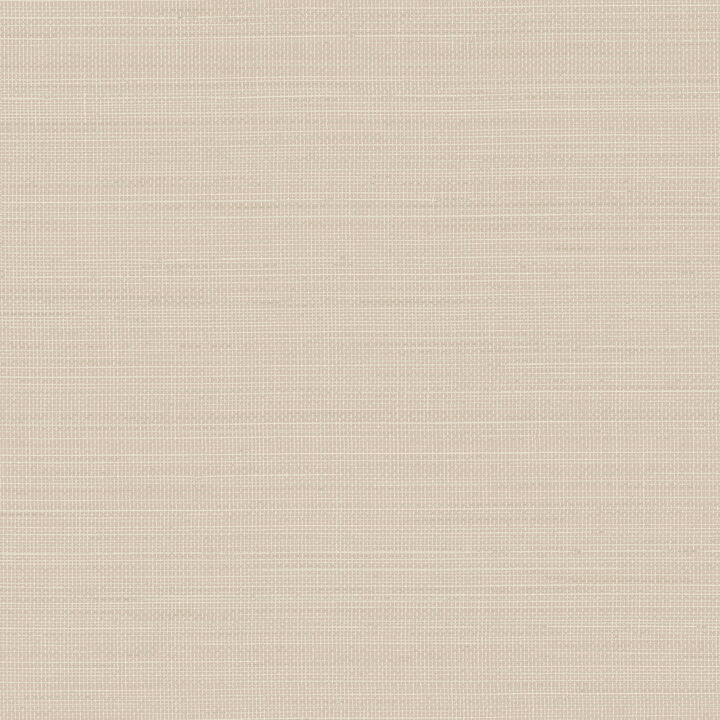 Spinnaker Neutral Netting Wallpaper (Set of 2)