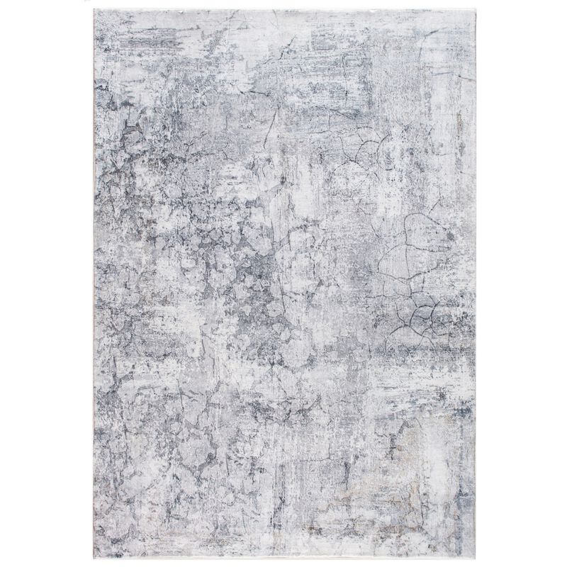 Roxy 2807 Grey Tranquility Area Rug, Size - 6' x 9'