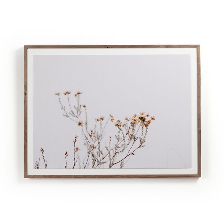 In The Details I by Annie Spratt
