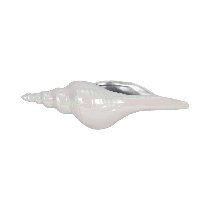 12" Long Iridescent Seashell image number 3