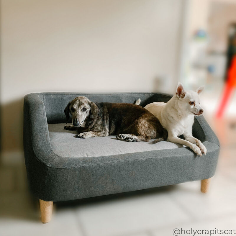 Bennett Linen Sofa Dog Bed for Small and Medium Dogs, Gray image number 5