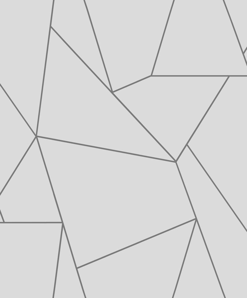 Nazca White & Silver Wallpaper image number 0