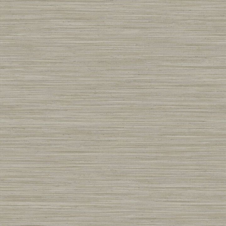 Ornamenta Plain Texture Beige Wallpaper 35972