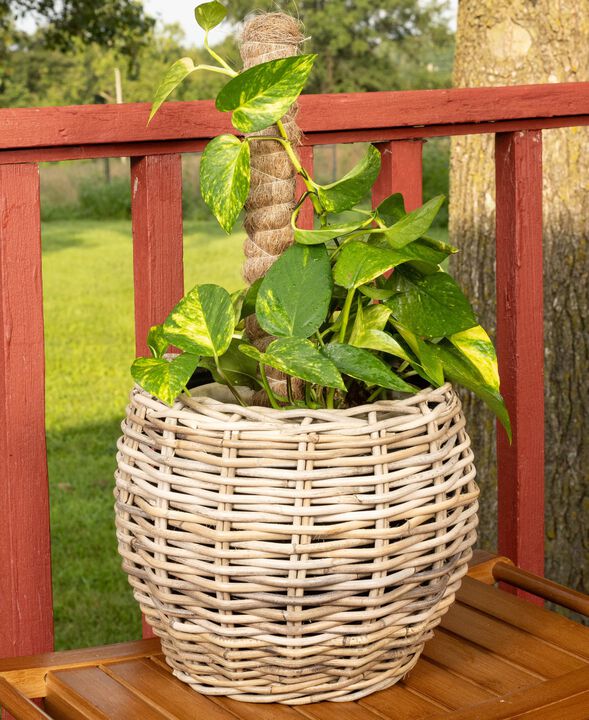 Saboga Home&trade; Round Belly Planter with Plastic Insert