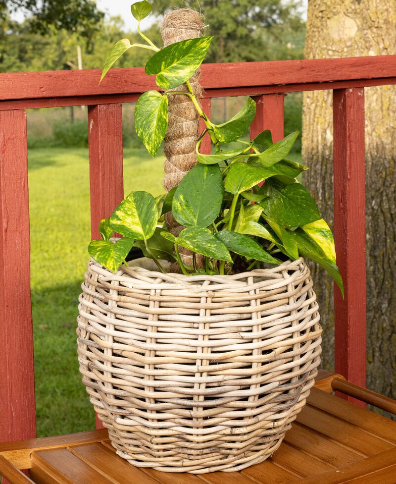 Saboga Home&trade; Round Belly Planter with Plastic Insert image number 1