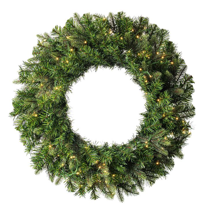 Vickerman 24" Douglas Fir Artificial Pre-Lit Wreath Warm White 3mm Low Voltage LED Wide Angle Lights.