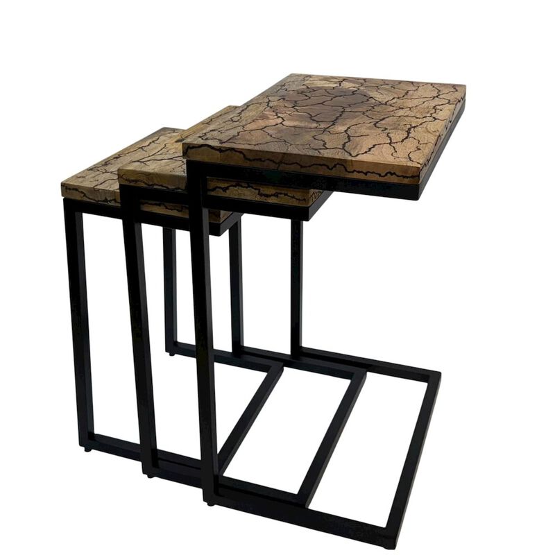 Carolina Chair & Table Electra 3 Piece Nesting Table Set - Electrified Wood - Black Iron