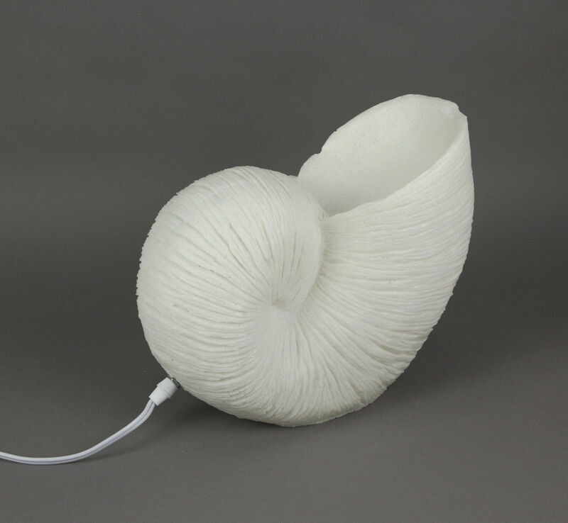 White Sandstone Finish Frilled Nautilus Shell Accent Lamp 10 Inches High image number 3