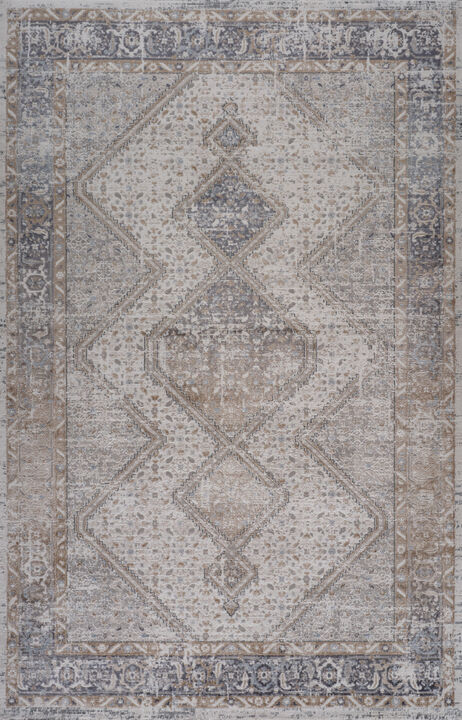 HomeRoots Abstract Distressed Area Rug
