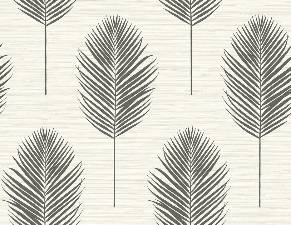 Bali Black Fern Wallpaper