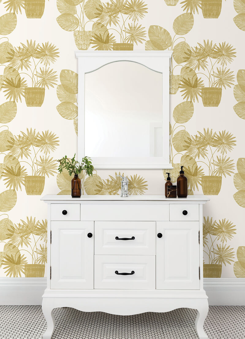 Aida Gold Potted Plant Wallpaper image number 2