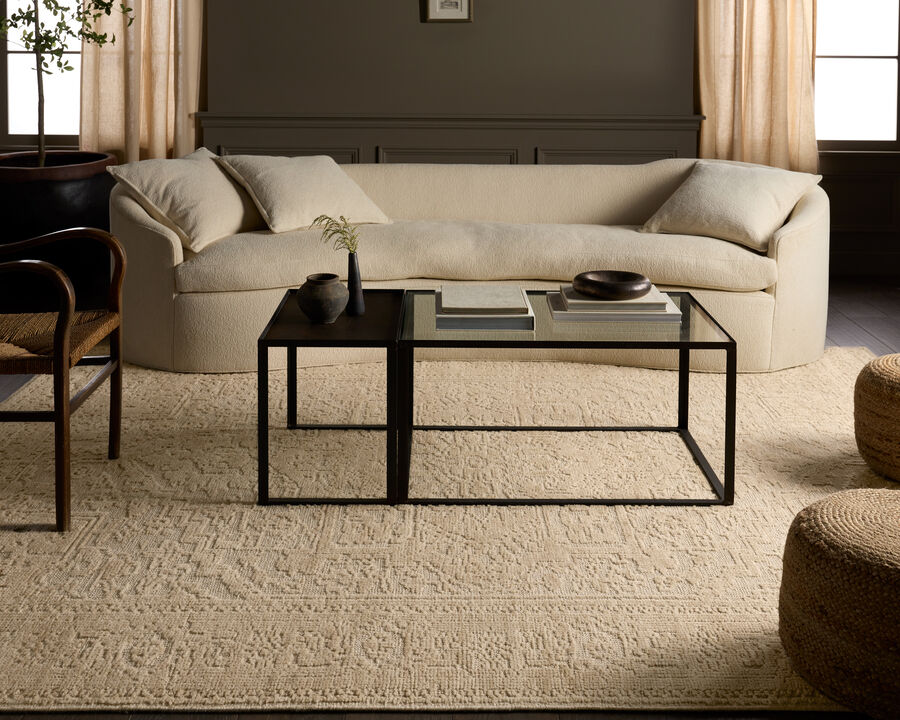 Aposio Pranhita Parchment 10'X14' Rug