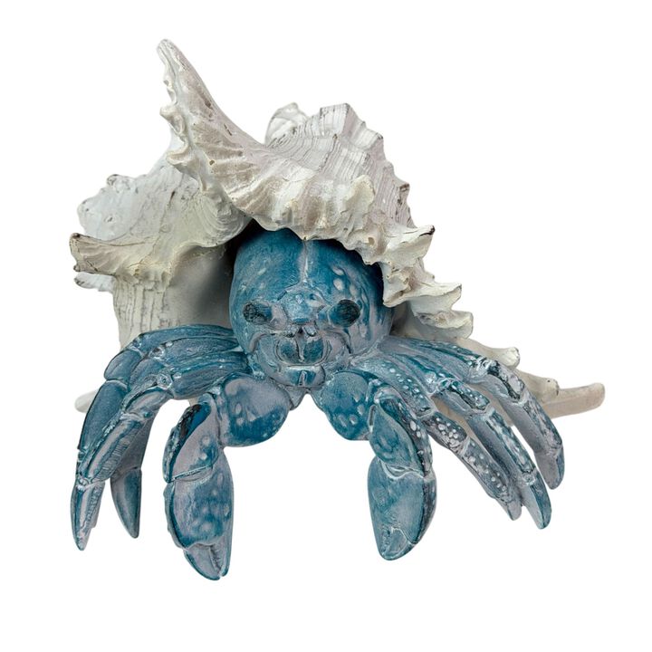 Blue Hermit Crab Statue Resin Coastal Seashell Figurine 525 Inch Decor
