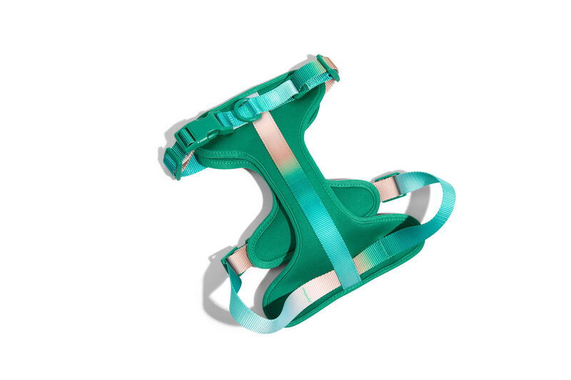 Parker Dog Harness image number 2