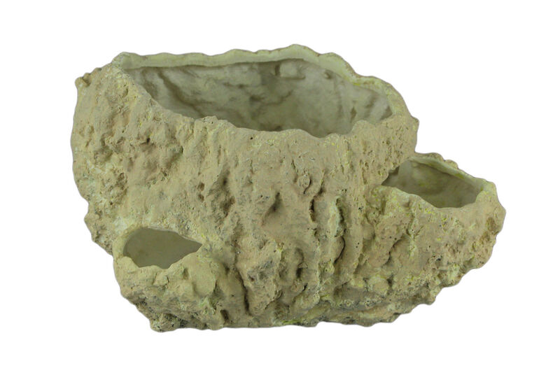 Off-White Fossilized Coral Decorative Coastal Decor Vase image number 0