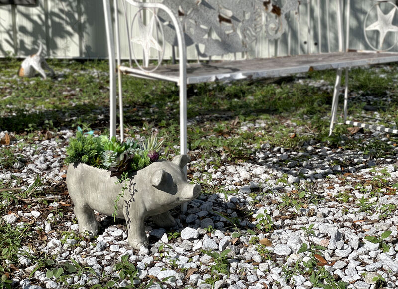 17 Inch Long Weathered Gray Finish Smiling Pig Planter image number 5
