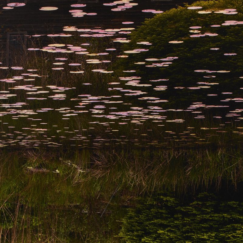 Frame Of Reference by Shade Degges